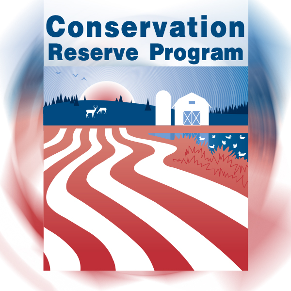 USDA Announces Conservation Reserve Program SignUp Ag in Cattaraugus