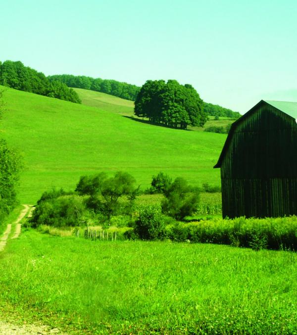 Farm with Pastured hills in Cattaraugus County