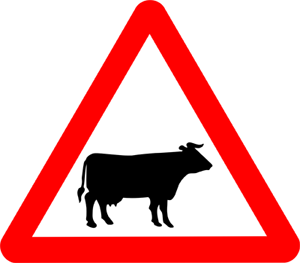 Cattle Warning