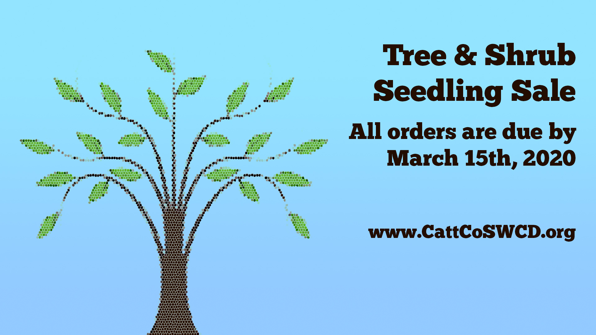 Last Day of Tree & Shrub Seedling Sale Ag in Cattaraugus County