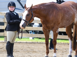 Amelia Savidge exhibits her horse, Lil Miss Impulse, at the 2025 Cattaraugus County Fair 4-H Horse Show. Photo courtesy of Alexandria Vacinek.