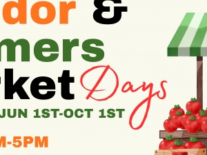Salamanca Vendor Market Days Logo