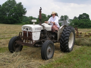 Nora Wolf of Allegany rakes hay for baling in a field along South Nine Mile Road July, 2008. The hay will be used to feed the 385 goats she keeps on her nearby farm. Photo by Rick Miller