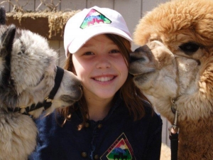 Girl getting kissed on the cheeks by 2 alpacas at Mager Mountain Alpacas