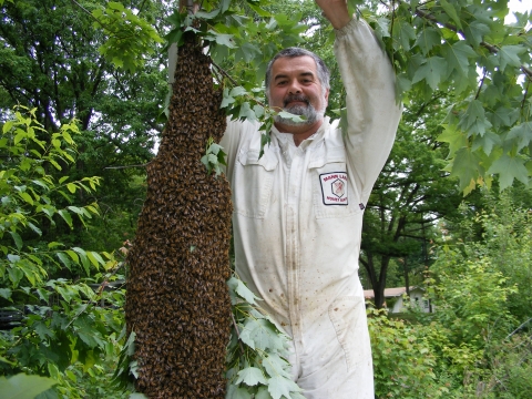 Gibbs Apiaries - Farm of the Year
