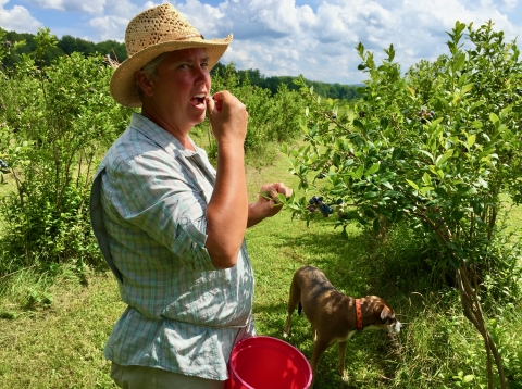 Burdick Blueberries - Farm of the Year