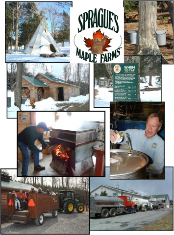 Sprauge's Maple Farm - Farm of the Year