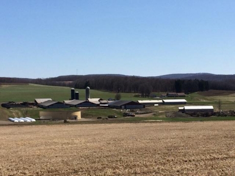 R&D Adams Dairy Farm - Conservation Farm of the Year