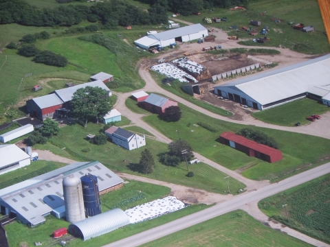 Pimm's View Dairy - Conservation Farm of the Year