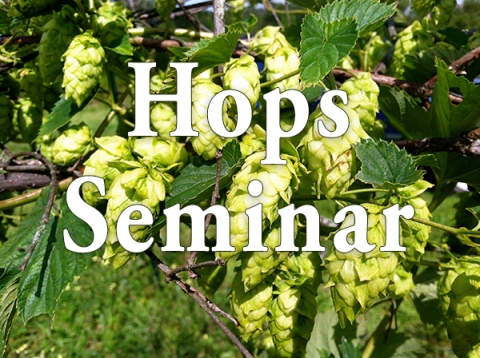 Hops Seminar
