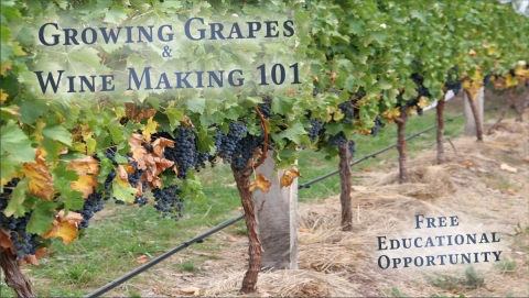 Growing Grapes & Wine Making 101 a Free Educational Opportunity on May 12, 2016