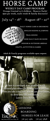 horse camp poster