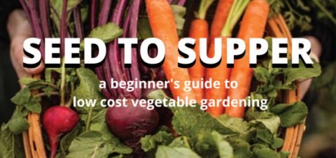 Seed to Supper Banner With Vegetables in the background. A beginners guide to low cost vegetable gardening
